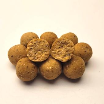 MTC Baits Nutcase Boilies 1kg