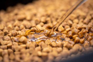 Sonubaits Absolute Clear Pellet Oil - Banoffee